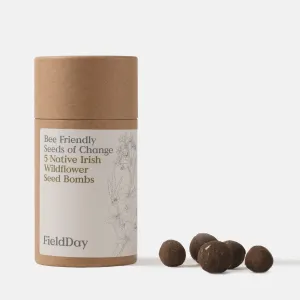 Field Day - Bee friendly Seed Bombs