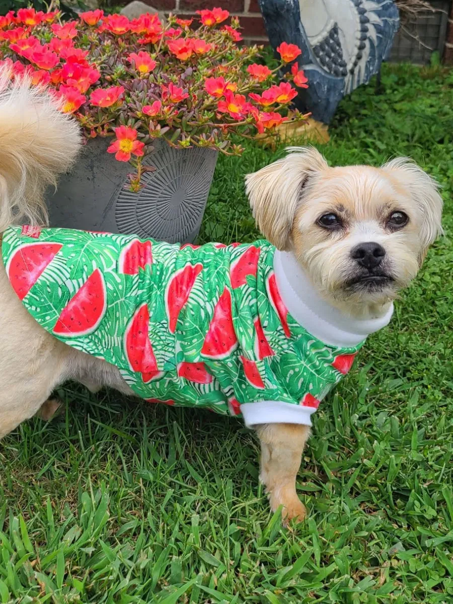 Watermelon Crush Dog Pajamas
