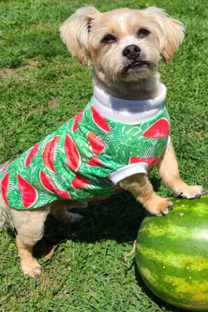 Watermelon Crush Dog Pajamas